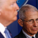 Illustration for article titled Dr. Fauci Is Doing a Good Job So It's Only a Matter of Time Before Trump Fires Him